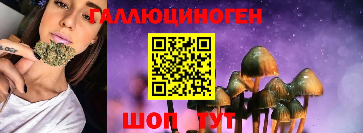 Кингисепп  Псилоцибиновые грибы Magic Shrooms  Вход с VPN 