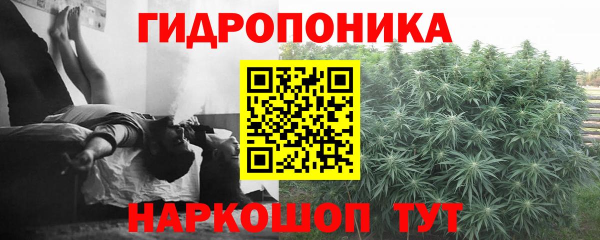 Кингисепп  Бошки марихуана OG Kush  Вход с VPN  Конопля AK-47 